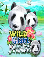 สนุกไปกับ ทดลอง เล่น ฟรี sbobetSLOT แบบไม่เสียเงิน